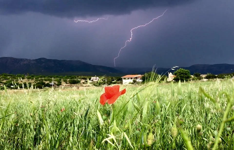 11265120 910468342328739 3363977137686619070 n - Fulmini in diretta dall'hinterland di Cagliari