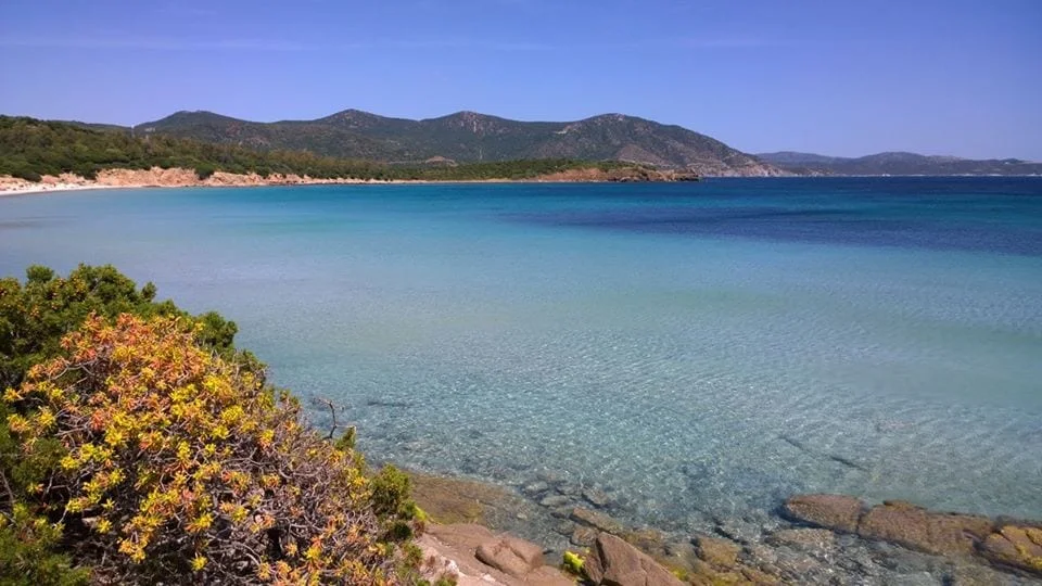 11149248 683083685131739 9114558385967321212 n - Le spiagge più belle della provincia di Cagliari