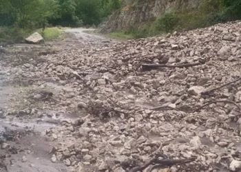 11403304 10204624266307544 7686350550506133794 n 350x250 - Bortigali: la grandine si scaglia al suolo come proiettili