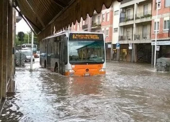 11745864 1641783836036946 8091338006622226723 n 350x250 - Bortigali: la grandine si scaglia al suolo come proiettili