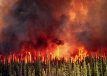 Incendi boschivi 350x250 - Grandine di grosse dimensioni ieri a Nurri