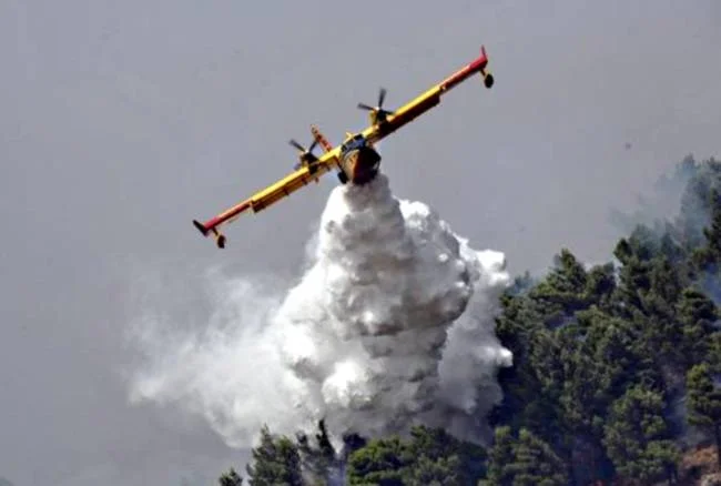 incendio - Il maxi incendio di Buddusò non è ancora domato