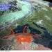 Meteosat12 75x75 - Squalo salvato a Porto Pollo: lui torna a riva per ringraziare