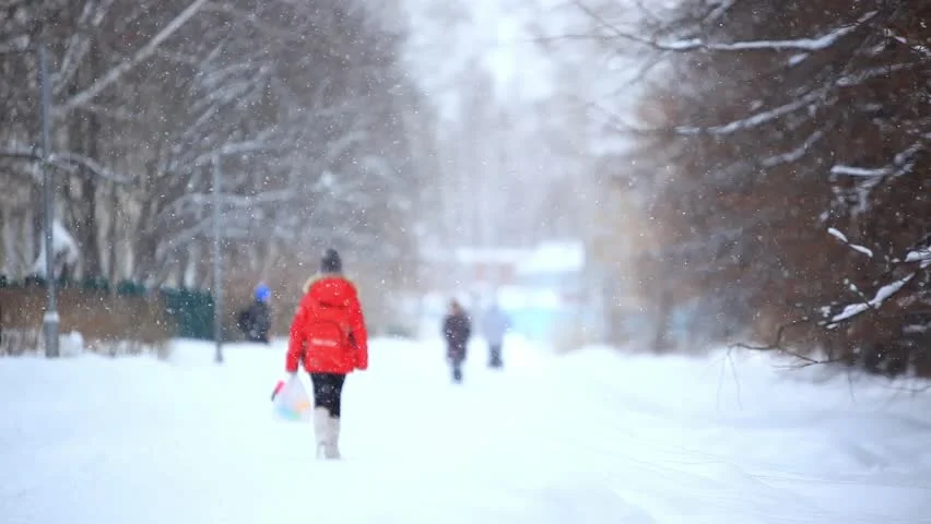 1 - Cos'è il gelo continentale che viene dalla Russia?