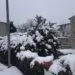 12546054 10205247203250917 422893441 o 75x75 - Evoluzione meteo: pioggia e neve nelle prossime ore