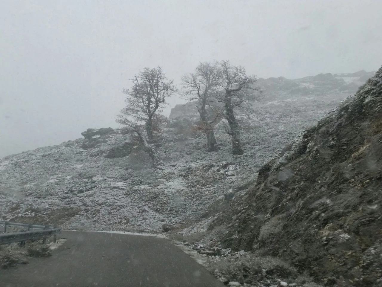 20160106111841 - Prima neve del 2016 a S'Arena, Desulo: foto e video