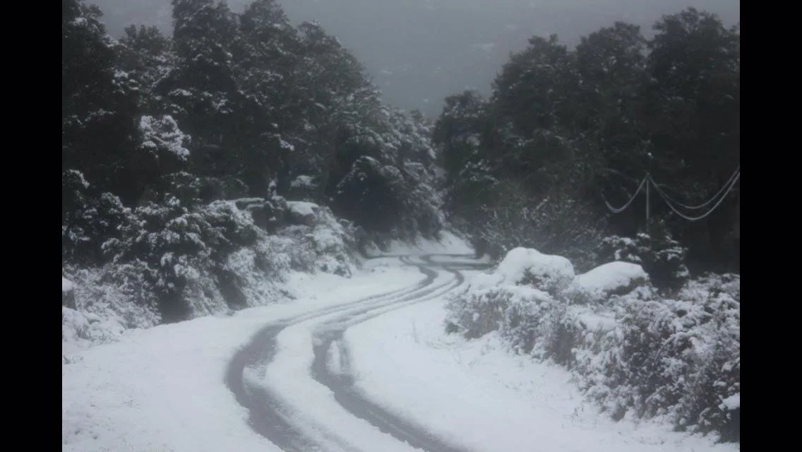 20160119024617 - Risveglio con neve anche su Calangianus: foto