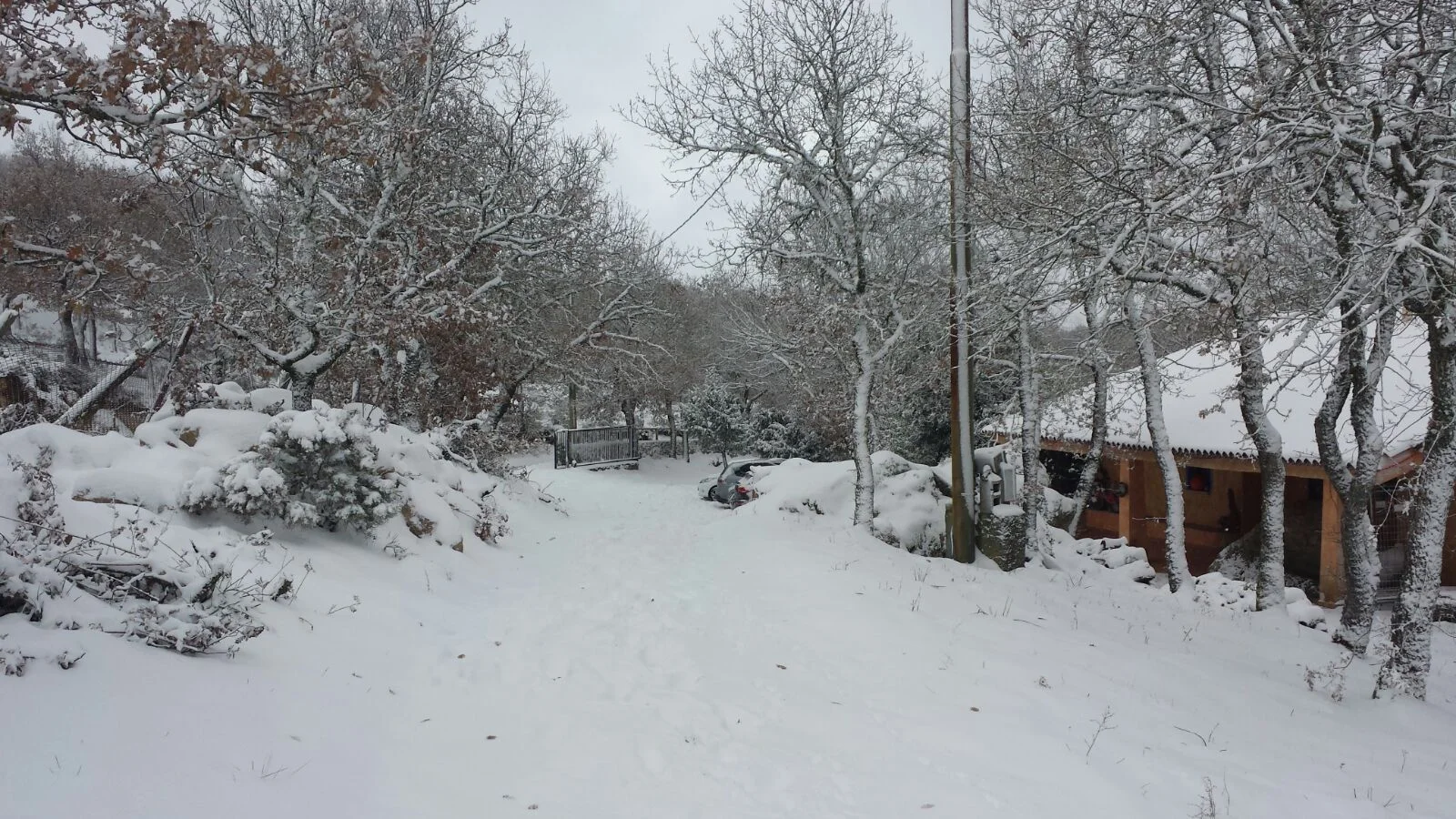 Fonni11 - Fonni e la certezza della neve