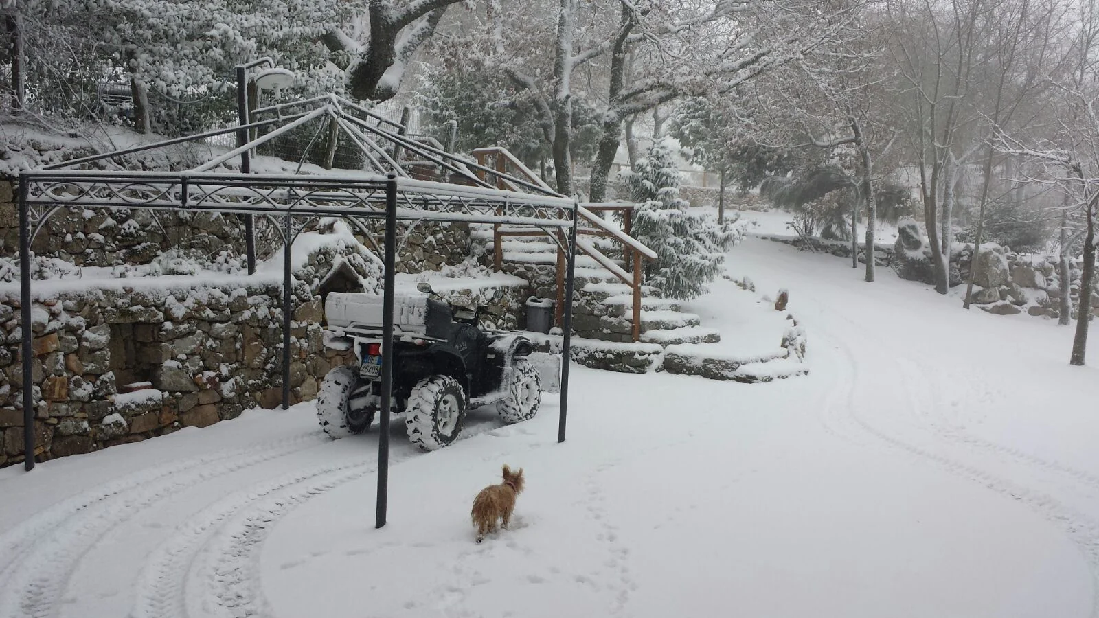 Fonni4 - La neve a Fonni: altre testimonianze foto e video