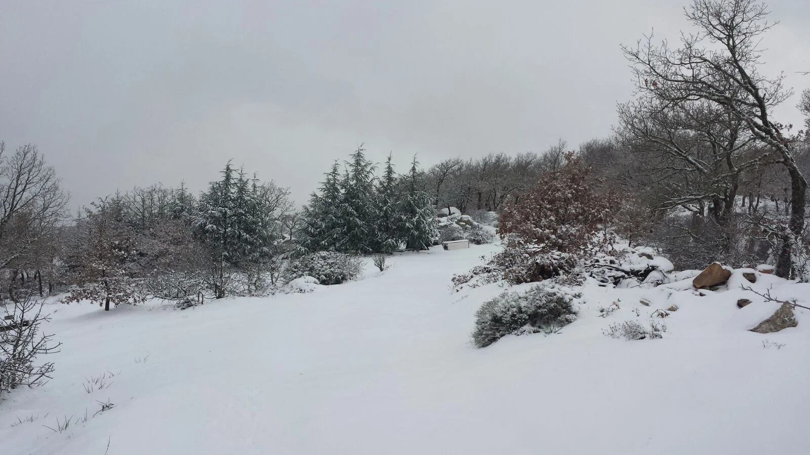 Fonni41 - Fonni e la certezza della neve