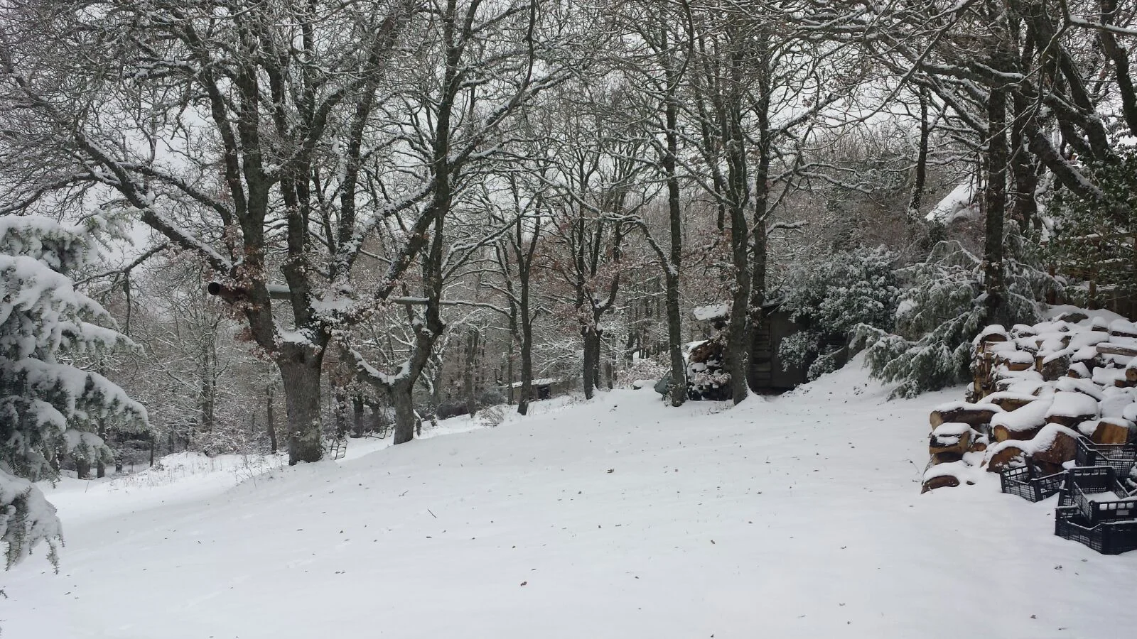 Fonni5 - Fonni e la certezza della neve