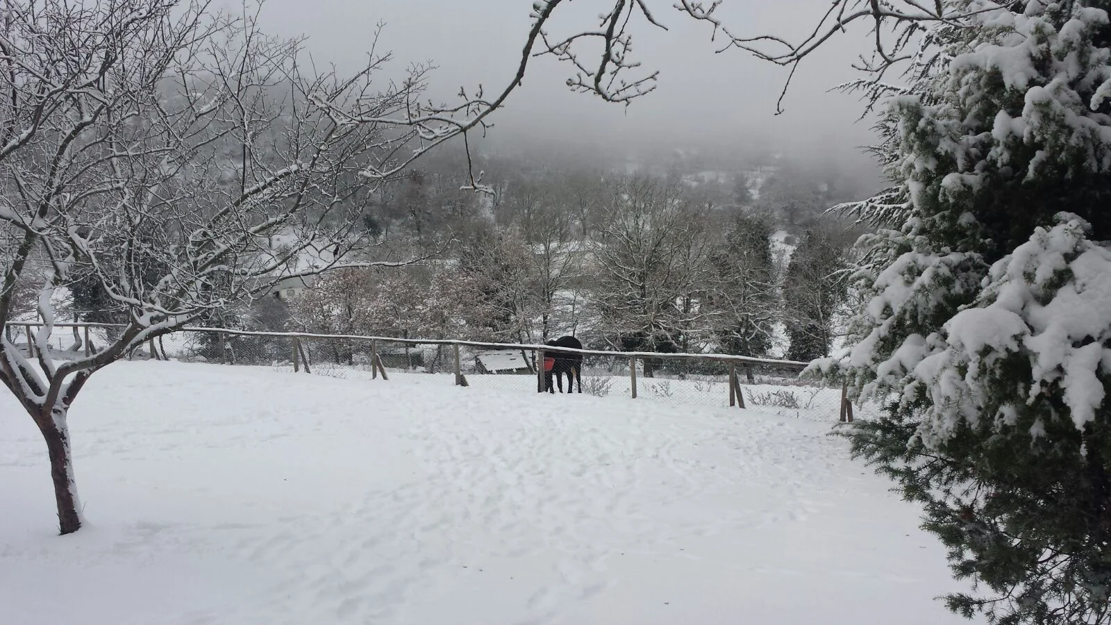 Fonni6 - Fonni e la certezza della neve