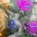 Meteosatmts 75x75 - Freddo e arriva una perturbazione da ovest. Porterà pioggia e neve