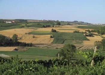 agricoltura sardegna 350x250 - Temperature in forte diminuzione dai primi di febbraio