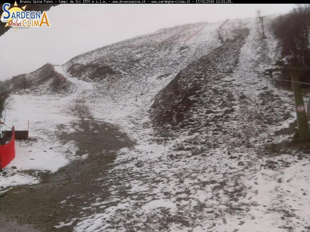 17 02 2016 12 21 51 - Bruncuspina, fiocca a tratti ma c'è pochissima neve