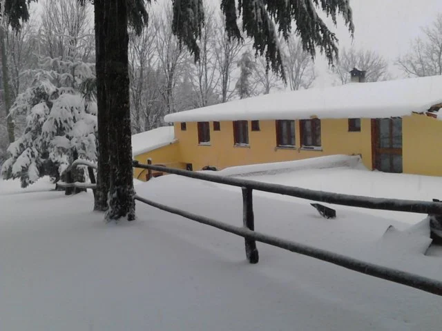 Separadorgiu 2 - Finalmente tanta neve sul Gennargentu: oltre 60 cm a 1500 metri