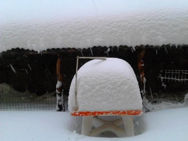 Separadorgiu - Finalmente tanta neve sul Gennargentu: oltre 60 cm a 1500 metri