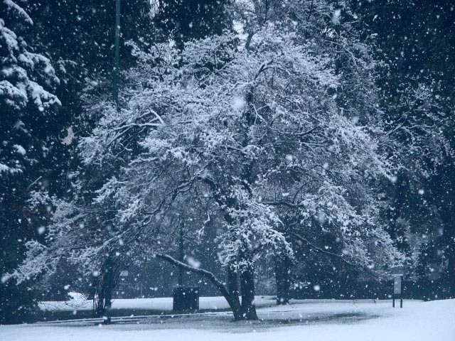 nevicata - “Per la Santa Candelora dell'Inverno non siamo fora”