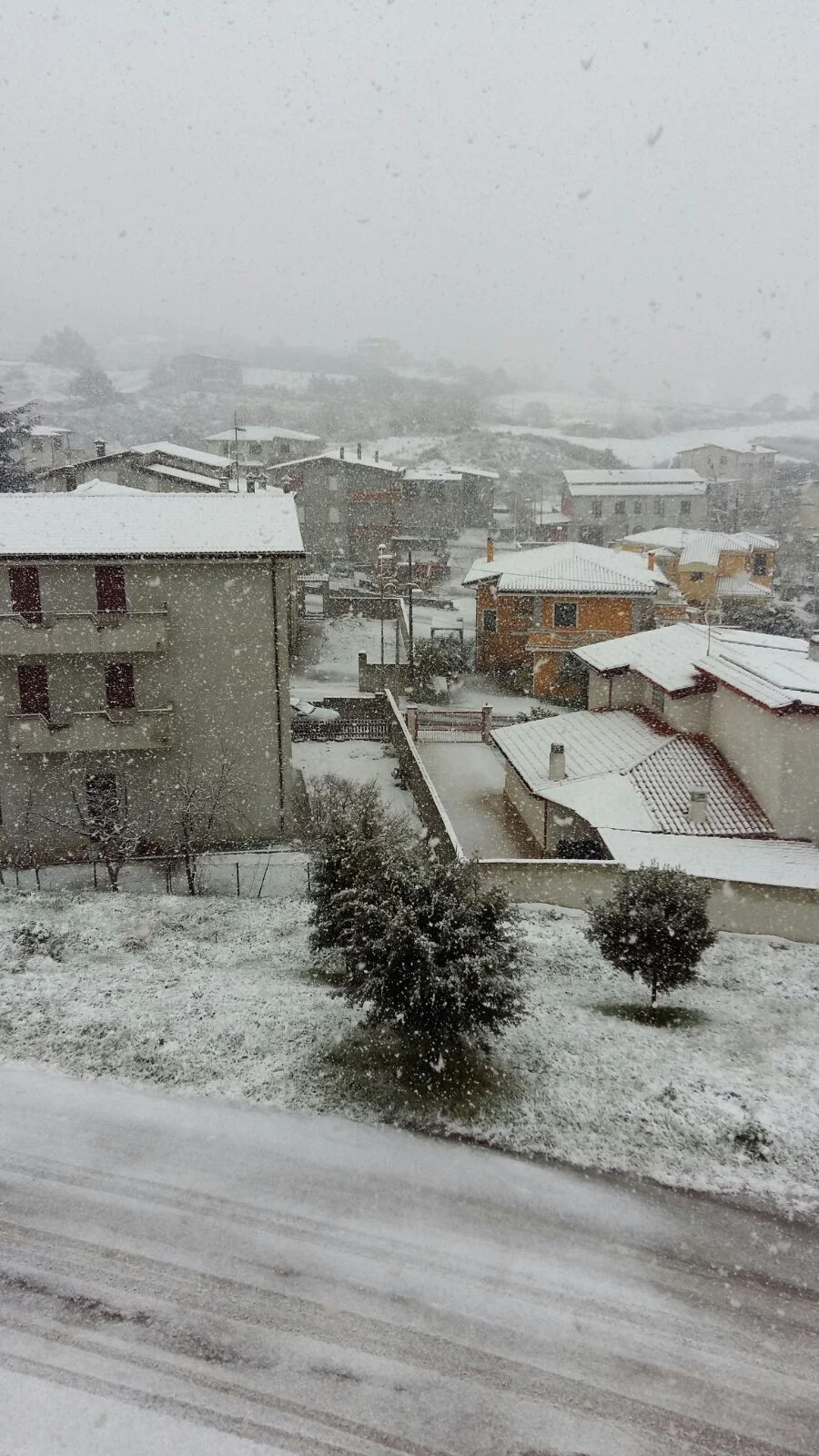 Neve Sarule 1 - La neve di oggi nelle vostre foto