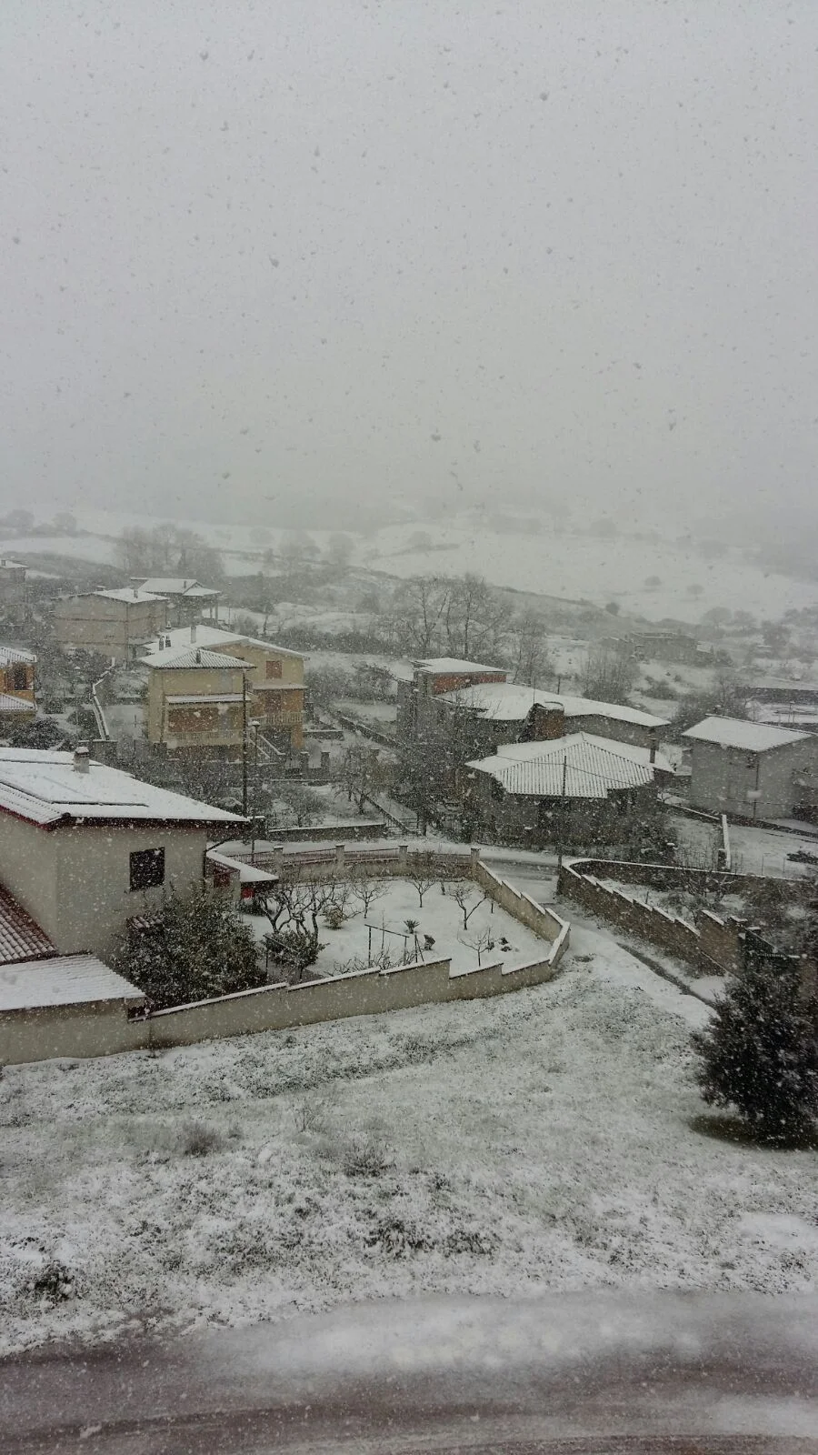 Neve Sarule 2 - La neve di oggi nelle vostre foto