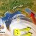 sardegna meteo inizio aprile weekend 75x75 - Maltempo in vista, sarà un aprile dal meteo dinamico dopo l’anticipo estivo