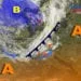 Meteosat 1 75x75 - Meteo weekend soleggiato, un po' di maestrale. Locali temporali. I dettagli