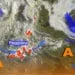 Meteosat 16 75x75 - Oggi caldo forte, anche 40°C. Attenzione agli incendi. Domenica temporali sui rilievi e tratti di costa orientale e rinfrescata