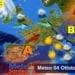 Meteo1 mts 1 75x75 - Cosa ha scatenato i temporali?