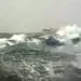 onde alissime in sardegna 75x75 - Mareggiata a Calasetta (VIDEO repertorio)