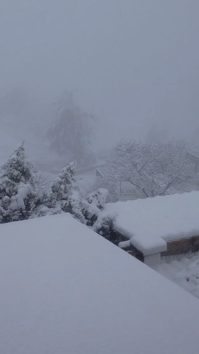 Ozieri - Sardegna sotto il Vortice Artico: forti nevicate