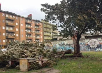 tempesta sardegna 350x250 - Prime piogge tra venerdì e sabato, poi il meteo peggiorerà con forza