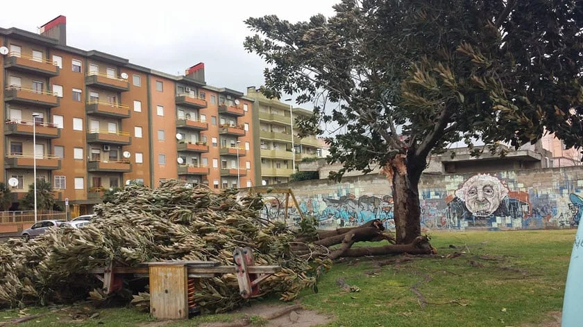 tempesta sardegna - Tempesta in Sardegna: è emergenza meteo con allerta Protezione Civile. Piogge intense sulla neve