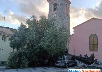 gadoni tempesta di vento danni leccio secolare 350x250 - In Sardegna meteo in peggioramento per una serie di perturbazioni