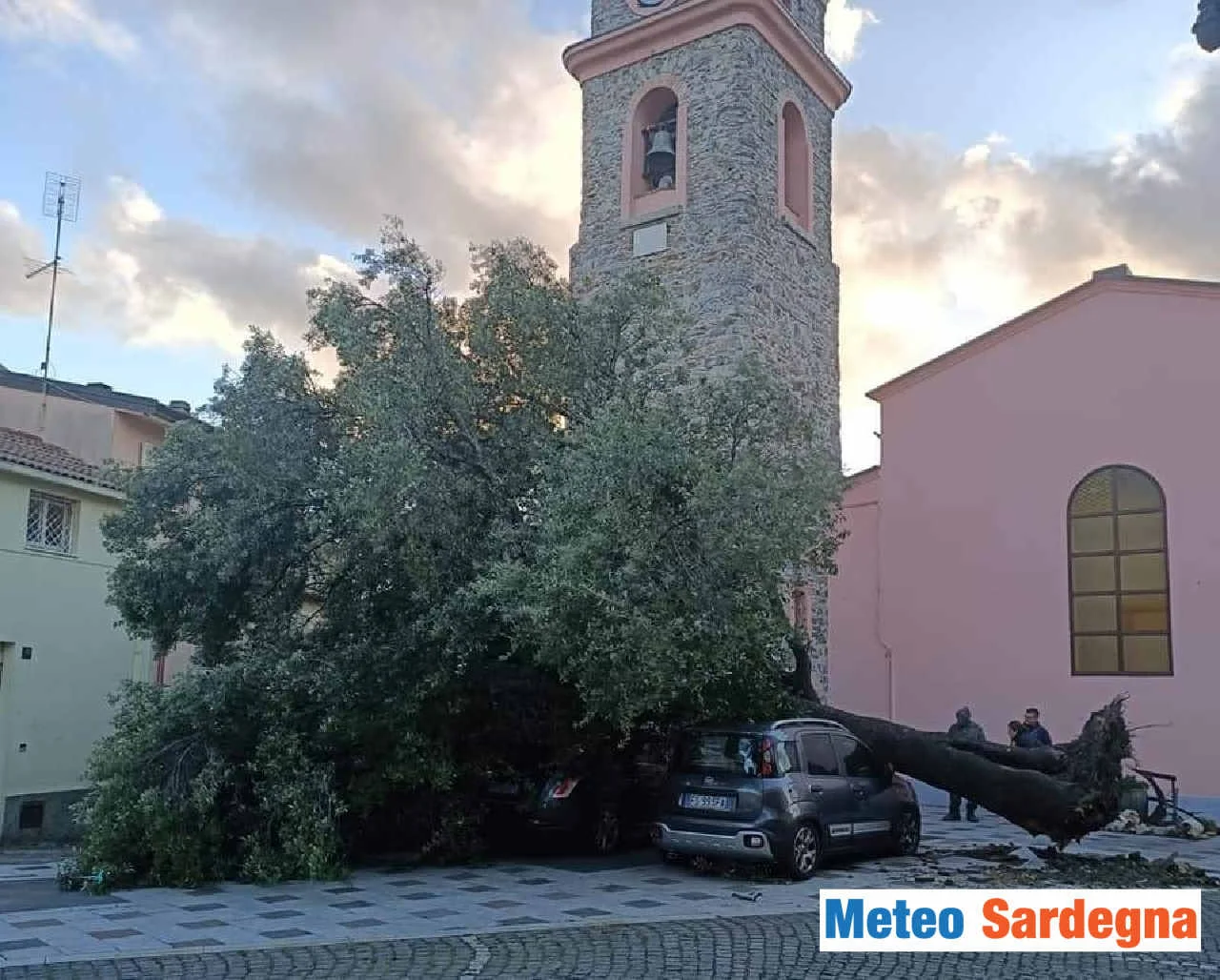 gadoni tempesta di vento danni leccio secolare - Danni ingenti per il Maestrale oggi in Sardegna. Raffica ben oltre i 120 orari